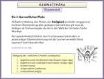 Für die Reihe von 10 Tagen habe ich eines meiner neuen Lieblingsthemen gewählt: Das Anattalakkhaṇa-Sutta bzw.