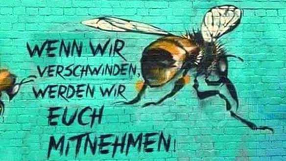 12. Bitte unterstützen Sie uns Der Bestand heimischer Insekten ist innerhalb von 27 Jahren über ca. 75 % zurückgegangen!