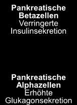 Pathophysiologie des Typ-2-Diabetes Periphere Gewebe Verringerte Glukoseaufnahme Vermehrte Lipolyse Leber