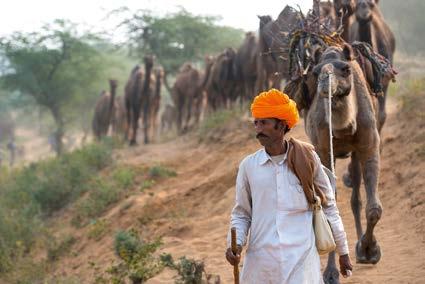 Nach der Sommerhitze, wenn die Felder für das kommende Jahr bestellt sind, machen sich die Bauern in Rajasthan auf zu einem der größten Spektakel der Erde: dem Jahrmarkt in Pushkar.