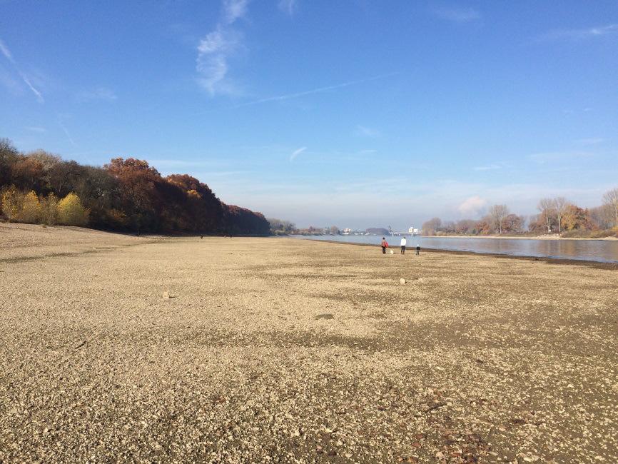 Launen der Natur?