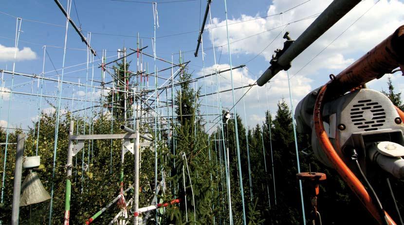 Foto: TUM In rund 25 Meter Höhe hängen die Schläuche der Begasungsanlage. In der Versuchsstation im Kranzberger Forst werden Untersuchungen mit Ozon und CO 2 durchgeführt ter geschützt.