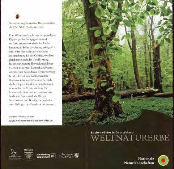 2007-2010 Nominierung deutscher Buchenwälder für die Welterbeliste