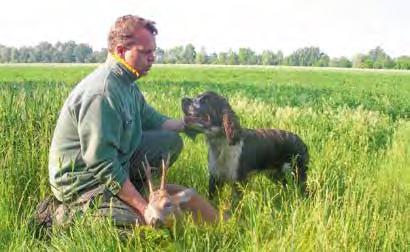 Enger Familienanschluss ist wichtig. Bevor sich in Europa die gezielte Rassehundezucht durchsetzte, machten Jäger und andere Hundehalter keine großen Unterschiede zwischen verschiedenen Spanielrassen.