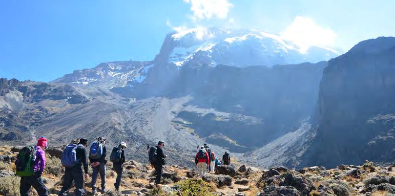 TANSANIA 12/15 TAGE KILI LEMOSHO & SAFARI Super Route über Shira Plateau Deutschsprachig ab 4 Personen Mit Akklimatisationsausflug Safari in 3 Nationalparks Über die abwechslungsreiche und weniger