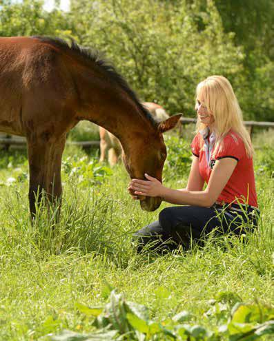 Gute Gründe für unsere Pferde-Lebensversicherung 24-Stunden-Notruf für Pferdehalter Transporte innerhalb der EU und der Schweiz Brand- und Blitzschlagschäden sowie Raub und Diebstahl sind innerhalb