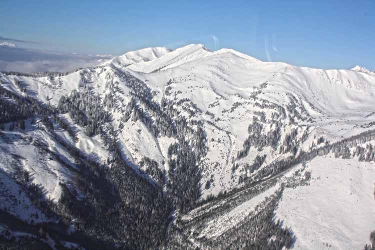56 Schneebrett 56 In der Luftaufnahme ist das in dieser vergleichsweise tief gelegenen, bewaldeten Region ausgelöste Schneebrett zu erkennen. (Foto: LWD) 3.
