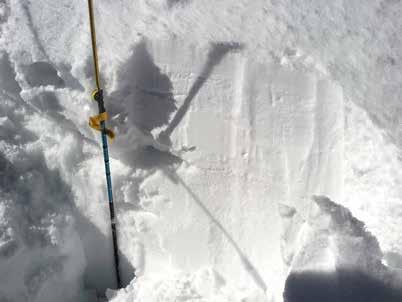 die im Bild am linken Lawinenrand zu erkennende schneebedeckte Rinne gespült wurde. (Foto: Gerhard Pfeifer) 3.24: Tödlicher Lawinenunfall am Großen Bösenstein, 09.04.