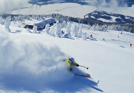 Traumhafter Pulverschnee, anspruchsvolle Pisten und vor allem unendliche Möglichkeiten zum Off-Piste-Fahren und Tree Skiing ziehen Schneesportler magisch an.