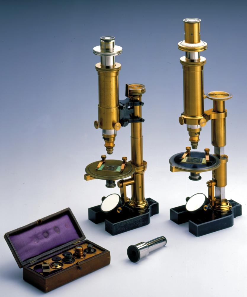 Das Rosenbusch- Mikroskop Klassischer Feintrieb mit Dreikantsäule rechts.