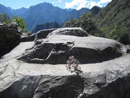 Am späten Nachmittag fahren wir mit dem Zug nach Aguas Caliente, auch als Machu Picchu Dorf