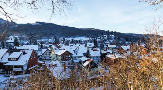 Geniessen Sie den Blick zum majestätischen Gipfel des Brockens oder auf den imposanten Felsen Ilsestein! Die Rodelbahn auf der Amtswiese begeistert nicht nur die Kleinen.