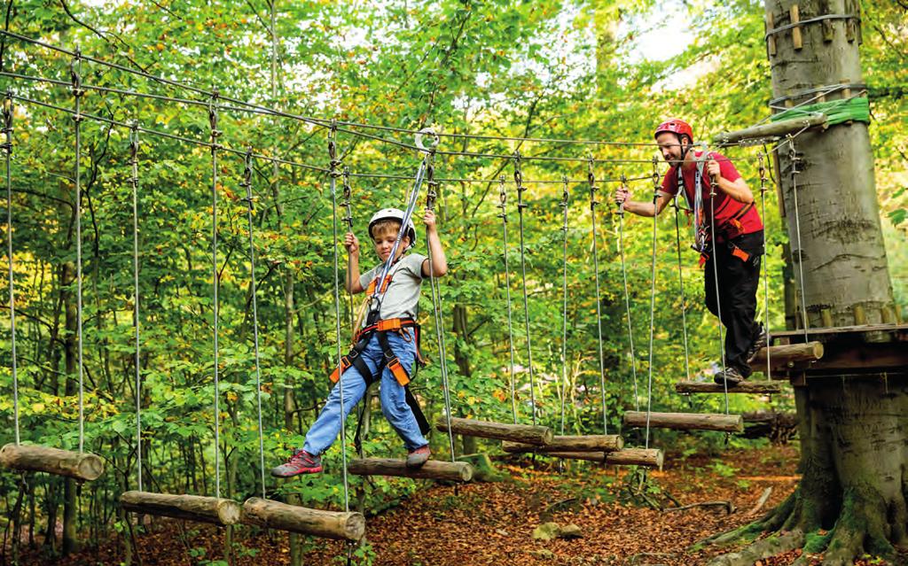 18 Abenteuerlustiger Urlaub im Harz Ilsenburg in Kinderhand Lostoben durch den Wald, über Steine durch Bäche klettern, hoch hinaus im Kletterpark und auf Du und Du mit den Tieren des Harzes.