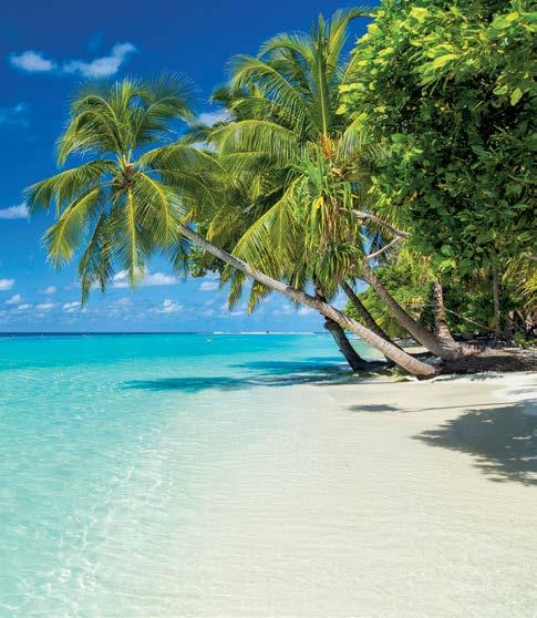 cameră dublă, în hotel de 4 stele Demipensiune Hotel Arena Beach: Localizare: pe plaja coastei insulei Maafushi.