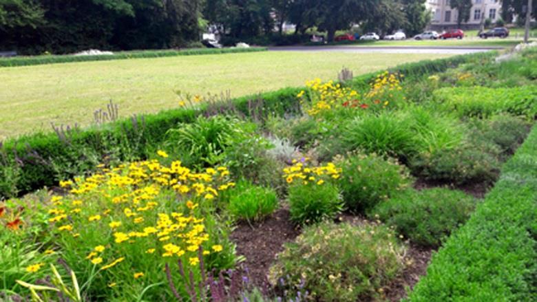 Volkspark Erneuerung der Blumenrabatten (mit Geldern der