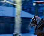 Adventsführungen der Tegernseer eimatführer 2017: Advent, Advent ein Lichtlein brennt Adventsmarkt Tegernsee mit kleiner Einkehr im Stieler-aus Advent und weihnachtliche Stimmung - selbst wenn das