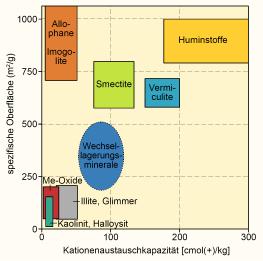 2003 Soil Core Sampling Year (Warren Dick, ISTRO, 06) Humus als Wasser- und Kohlenstoffspeicher Humus => enthält ca.