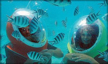 Mauritius Solar Sea Walk Die Unterwasserwelt von Mauritius wird Sie in Erstaunen versetzen!
