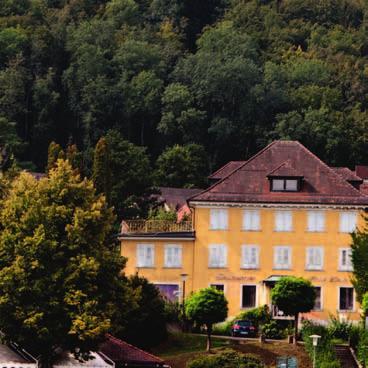 Über die Gräfliche Seedomaine zu Bodman Auf zu neuen Ufern! Der Lindenbaum prägt nicht nur das Wappen von Bodman. Er ist auch Namensgeber eines schön gelegenen Fleckens in der Mitte des Ortes.