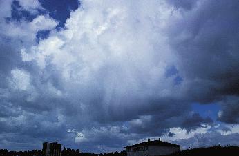 Dennoch ist festzuhalten: es gibt diese verbogenen Cumuli bei mehreren holländischen Malern, auch der Cumulus-Spezialist Jacob van Ruisdael hat in seinen frühen Werken diese Darstellung benutzt.