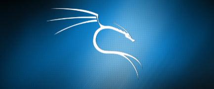 Kali-Linux Entwickelt für professionelle Sicherheitsfachleute > 300 Werkzeuge, zum Test der Sicherheit in Computersystemen Datensammlung von Personen oder Unternehmen
