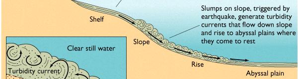 vertical deposition relative to the speed of