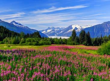Pazifischer Ozean Vancouver Glacier Nationalpark Große Kanada-Rundreise u. a. mit 5 Stadtrundfahrten und dem Besuch von 6 Nationalparks Kreuzfahrt durch das Naturparadies Alaska 21-tägig inkl.