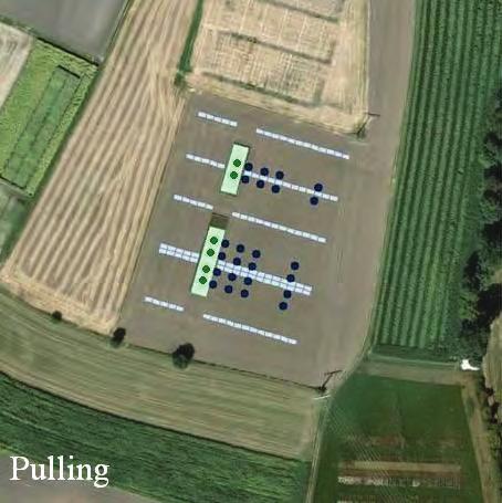 Material und Methoden An den beiden Standorten Pulling (Obberbayern, Lkr. Freising) und Neuhof (Schwaben, Lkr.