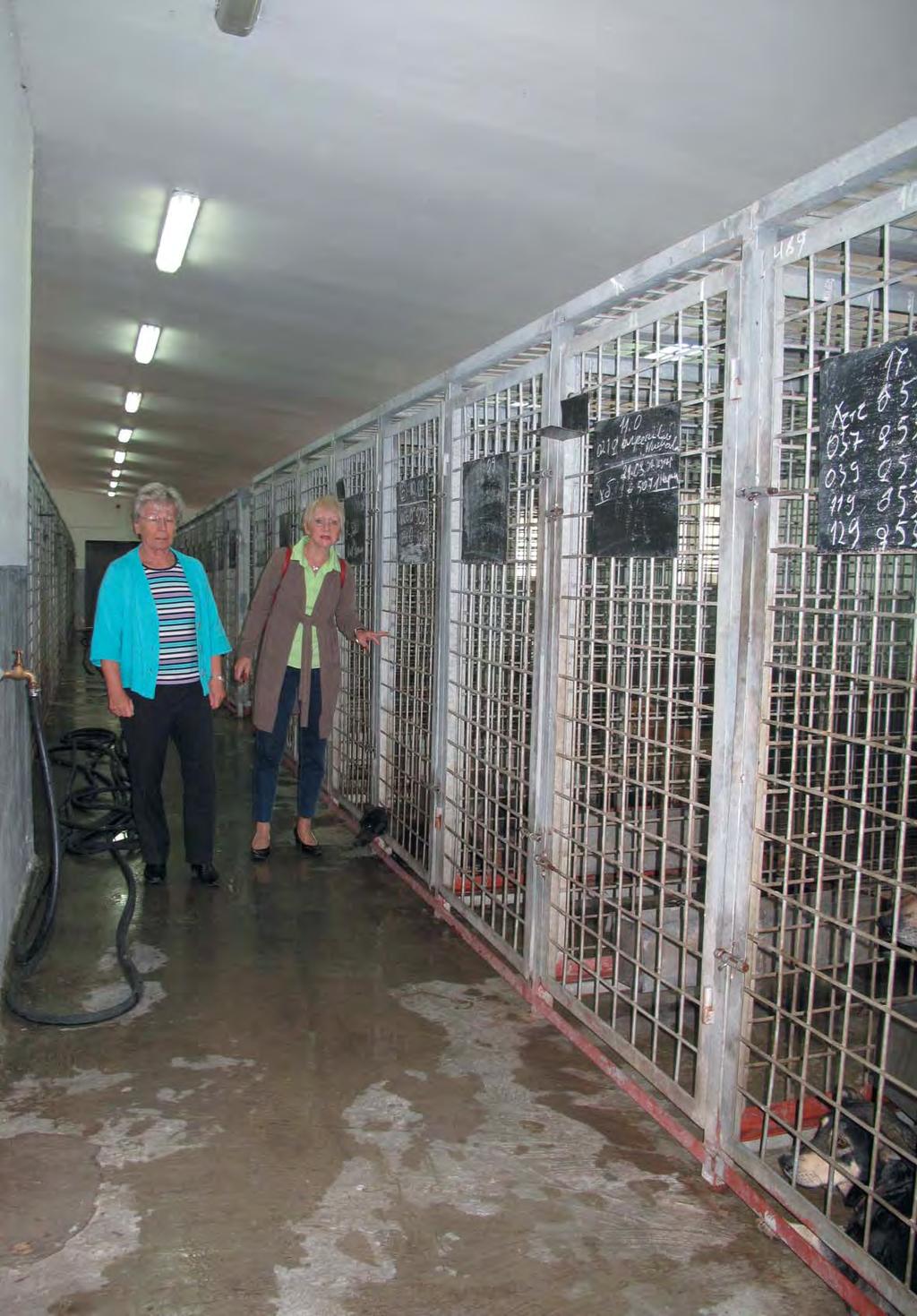 Sofia: Tierauffangstation Seslavci Jetzt wird gehandelt... Der Vorstand der Tierhilfe Süden ist außer sich vor Entsetzen! Besuch in Seslavci, umgewandelt - angeblich - in ein Tierheim.