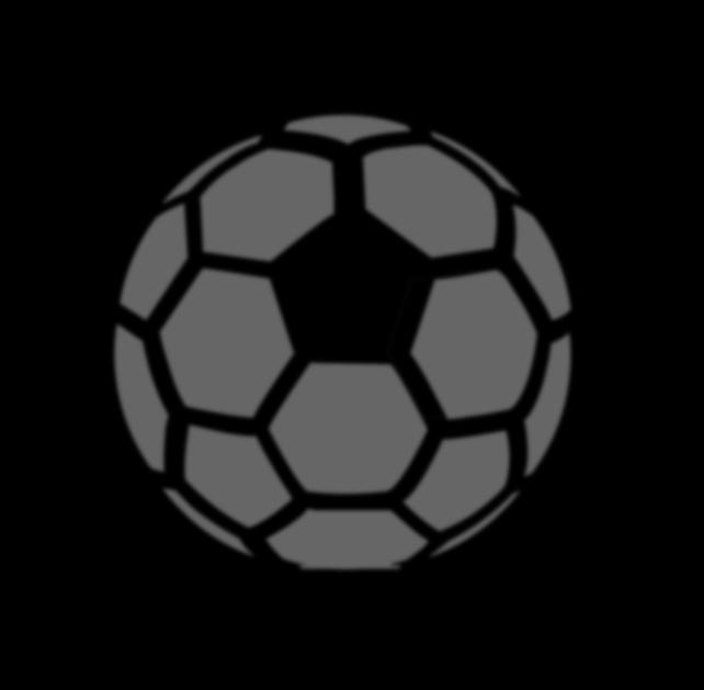 BAYERISCHER FUSSBALL-VERBAND (Digitale)
