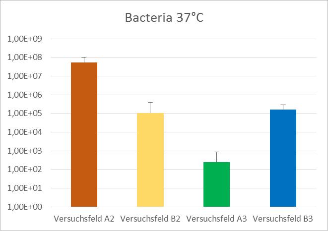 Probenergebnisse Bakterien (Bakterien wurden bei 25 C und 37 C bebrütet): Versuchsfeld A2 Versuchsfeld B2 Versuchsfeld A3 Versuchsfeld B3 1,28E+09 1,76E+06 1,00E+00 1,61E+06 Median Bacteria 25 C