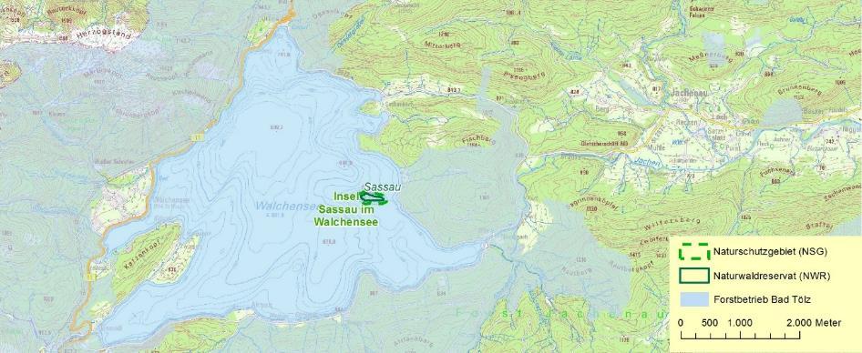 NSG Insel Sassau im Walchensee Abbildung 41: NSG Insel Sassau im Walchensee und NWR Sassau sowie ausschnittsweise NSG Karwendel und Karwendelvorgebirge Schutzzweck ist: die Erhaltung ein Gebietes mit