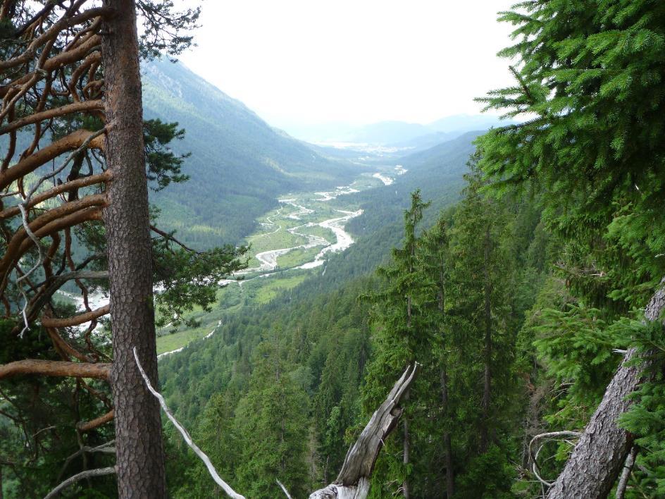 Der Wald-Lebensraumtyp 91E0* Auenwälder mit Erle und Esche wird im Naturschutzkonzept als gesetzlich geschützte Waldfläche nach 30 BNatSchG ausgewiesen (Weichholzauwälder). Eine Nutzung scheidet i. d.