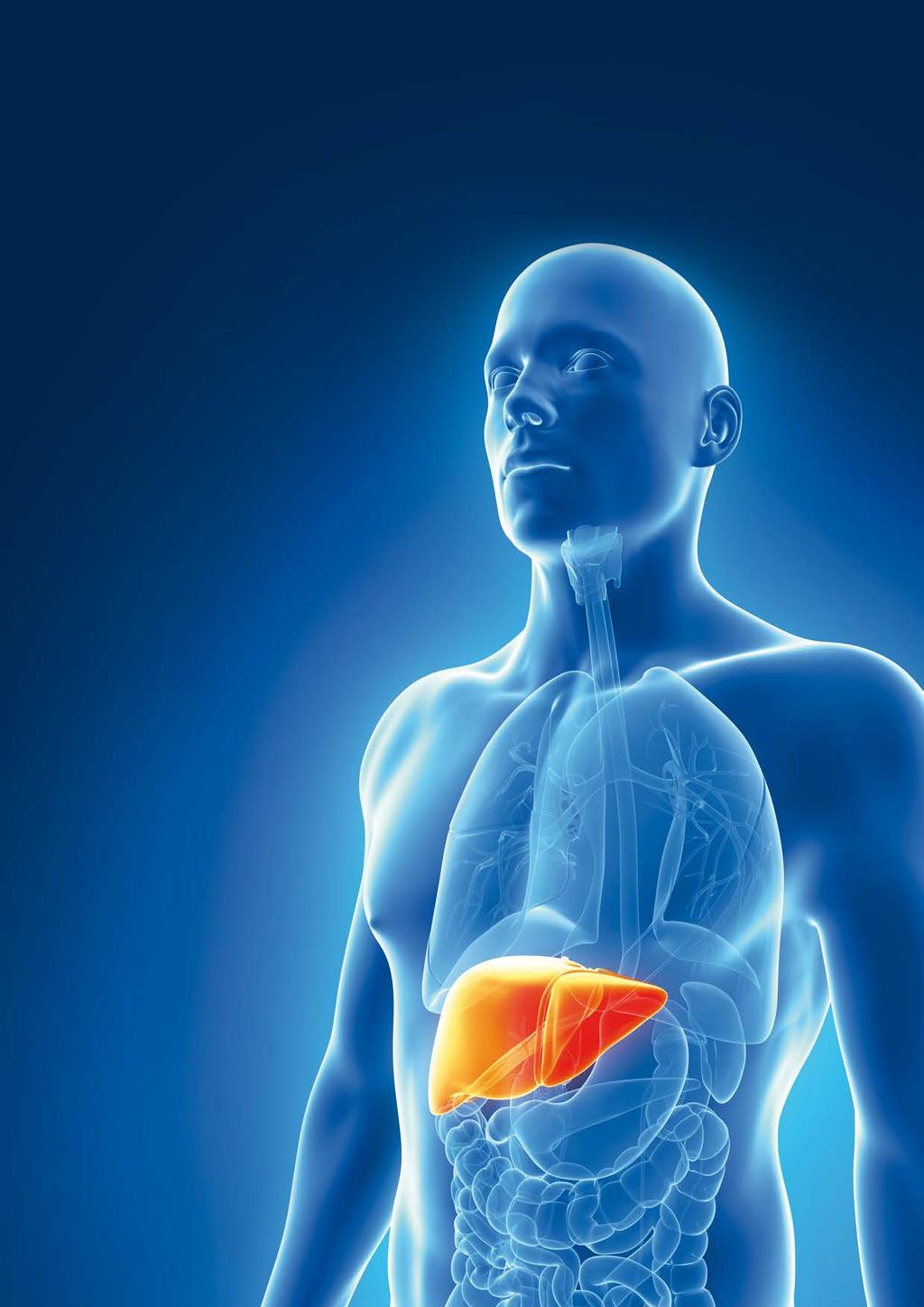 med.ium 1+2/2018 MEDIZIN IN SALZBURG 37 Hepatologie MEDIZIN IN