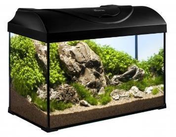 Mithilfe dieser Sets kann ein schönes Aquarium ganz einfach und zugleich völlig professionell eingerichtet werden.
