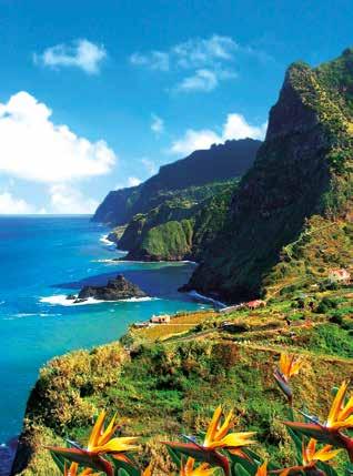 und genießen Sie bei einer Fahrt durch den Teide-Nationalpark phantastische Blicke auf einen der schönsten Berge der Welt. Im Anschluss geht es in Santa Cruz de Tenerife an Bord der AIDAnova.