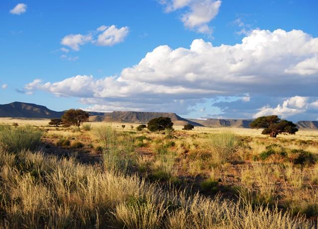 Mietwagenrundreise 14 Tage ab/bis Windhoek Namibias faszinierender Süden Kategorie 2 Namibia - ursprüngliche Landschaften, herrliche Tierwelt, unbeschreibliche Farbenspiele und eine einzigartige