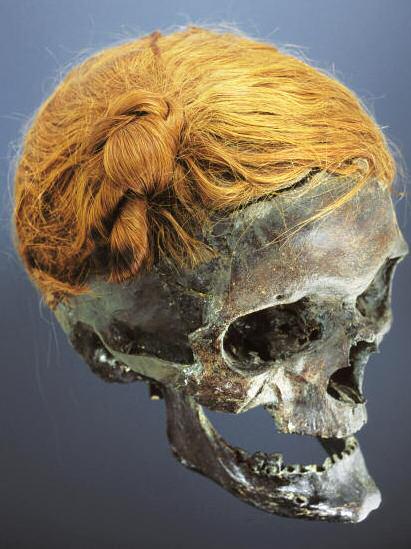 KRIEGER UND KOLONISTEN Totenschädel eines Sueben mit typischem Haarknoten Fund von 1948 bei