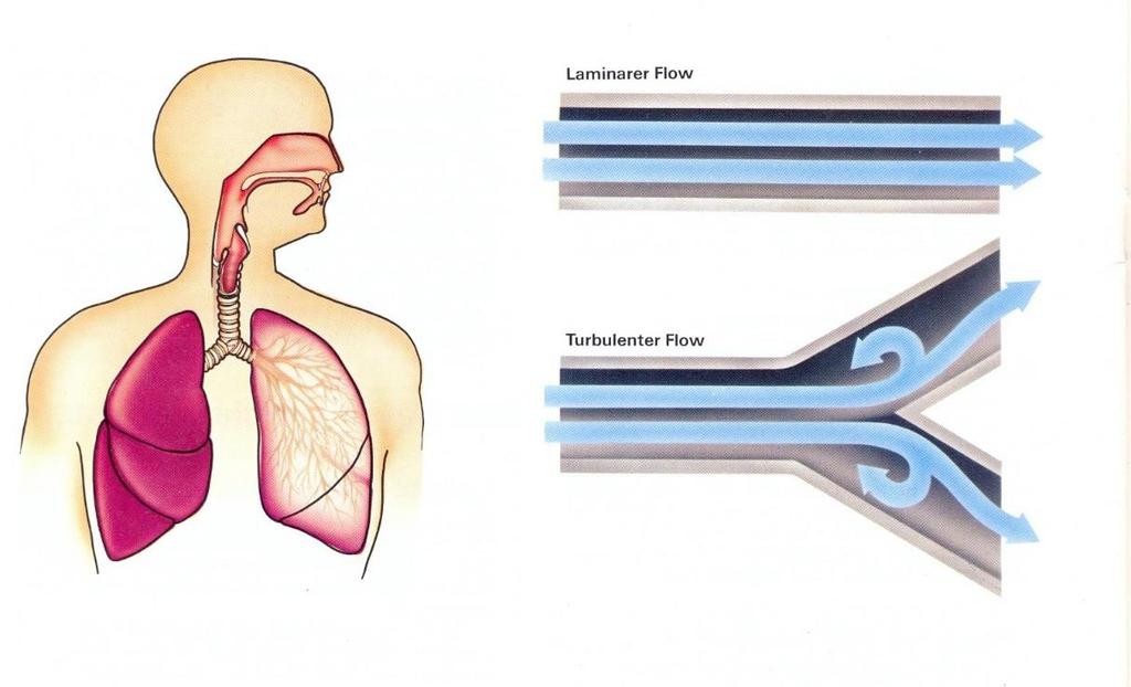 Resistance laminarer Flow turbulenter Flow a b R