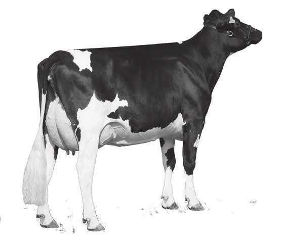 RUW-BAP Bullen-Anpaarungs-Programm Finden Sie den richtigen Vererber für Ihre Kuh! Gezielte Paarung.