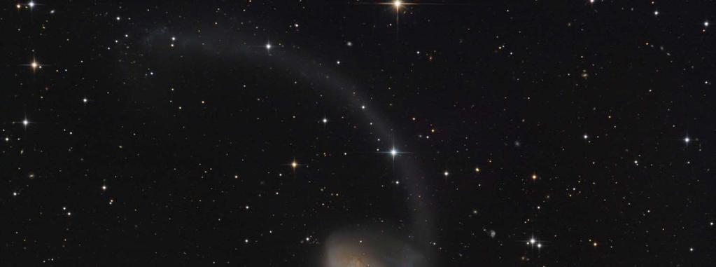 NGC4038