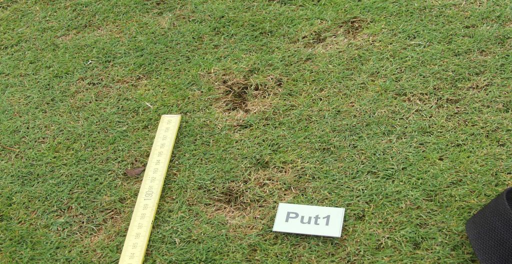 11 Hagelschaden auf der Golfanlage: Löcher