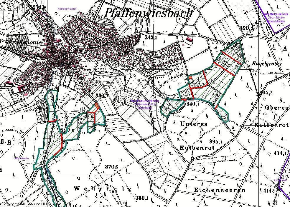 Feuchtbrachen und Helokrene (Quellaustritte) 10.