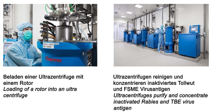 Rabipurproduktion - Ultrazentrifuge 7