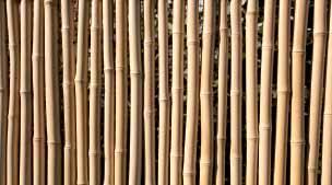 Bambus Bambus ein Gras gilt als einer der nachhaltigsten Naturstoffe zur Verwendung im Bau: Er wächst bis zu zehn Meter im Jahr! Dadurch ist praktisch kein Raubbau bei Bambus möglich.