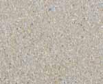 4816 4817 4818 RM-Kiesel sand - Stufenplatte 40/40 cm 1 x Kante mit Fase RM-Kiesel sand - Stufenplatte 40/40 cm Eckkante mit Fase RM-Kiesel sand - Stufenplatte /40