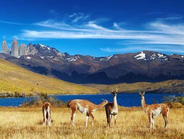Sie fahren vorbei am smaragdgrünen Lago Viedma und durch die unendlichen Weiten der argentinischen Pampa. nach Calafate am Lago Argentino.