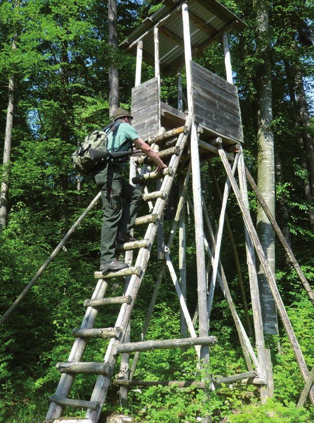 Jagd Eine wald- und wildgerechte Jagd ist eine wesentliche Voraussetzung für eine naturnahe Bewirtschaftung unserer Wälder.