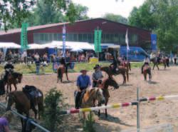 ewu live 15 Von den 13.016 erfassten Pferden im EWU-Turniersport zählen über die Hälfte zu den klassischen Westernpferderassen 5.008 Quarter Horses, 1.295 Paint Horses und 632 Appaloosa.