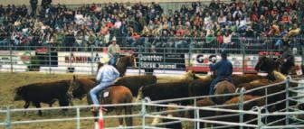 Man nutzte die Gelegenheit, den auf diesem Turnier amtierenden kanadischen Richter Joe Carter für ein Cutting- und Cowhorse-Seminar zu verpflichten.